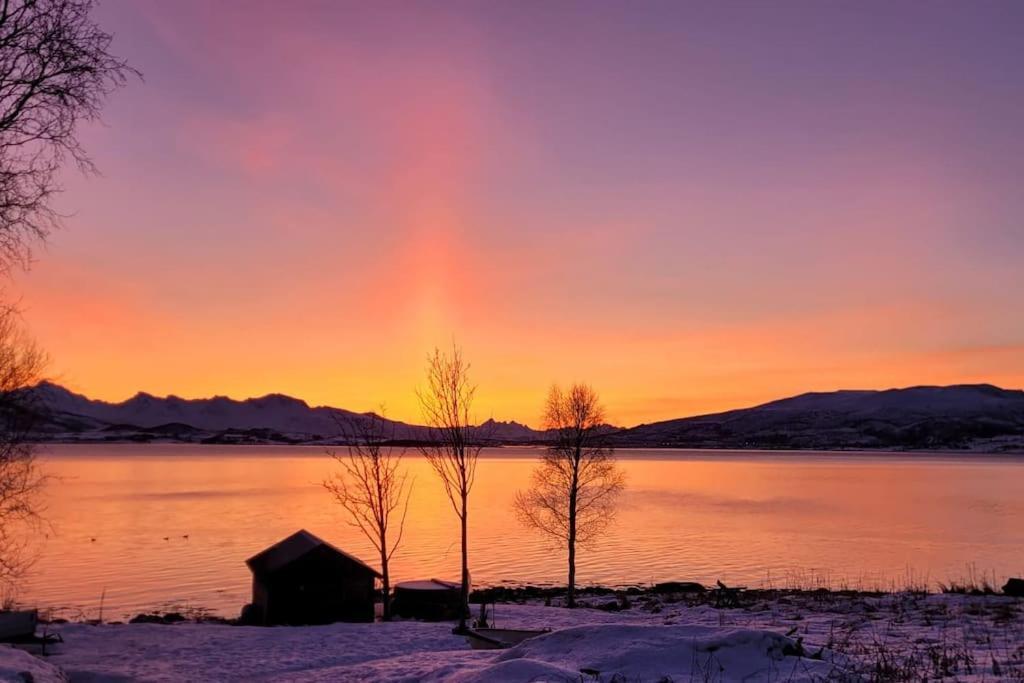 House By The Sea * Sortland
