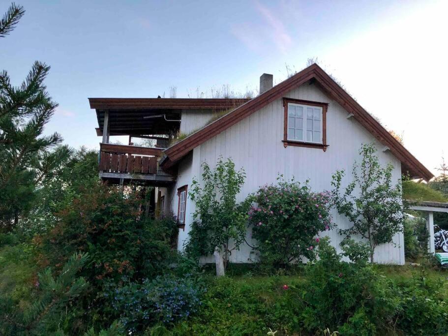 House By The Sea * Sortland