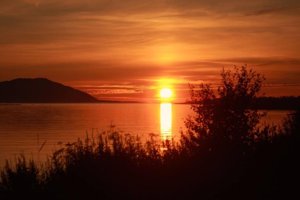 House By The Sea Holiday home Sortland